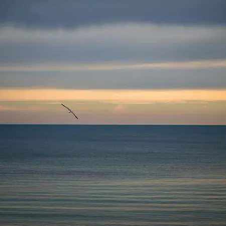 Excellent 2br Flat In Downtown *