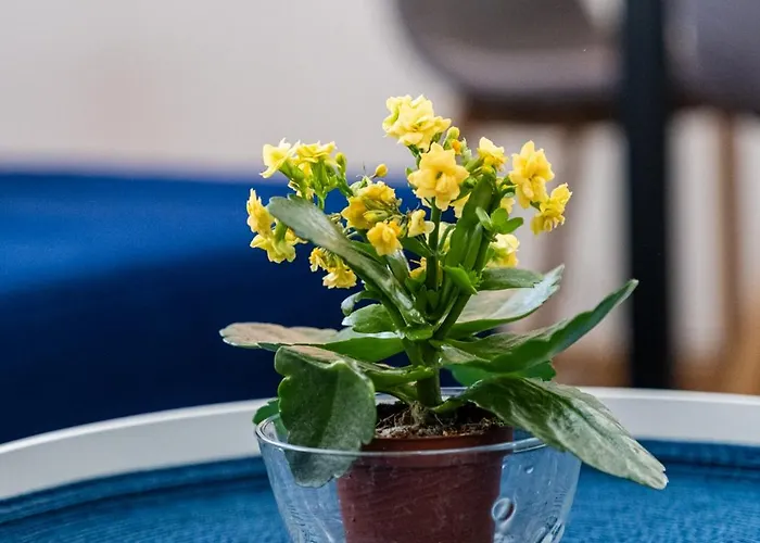 Excellent 2br Flat In Downtown