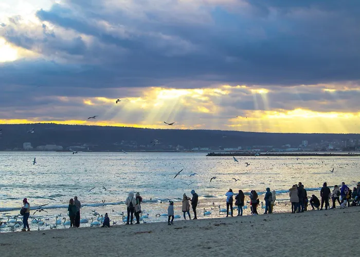 Апартамент Excellent 2br Flat In Downtown Варна