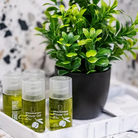 Apartment Excellent 2br Flat In Downtown