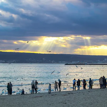 Apartment Excellent 2br Flat In Downtown Warna