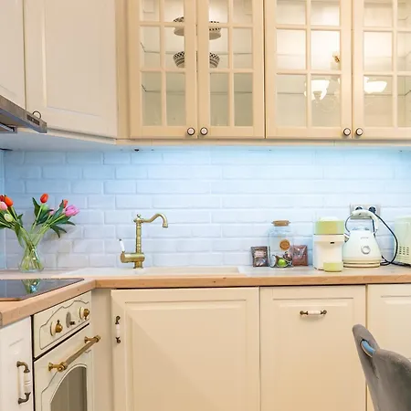 Excellent 2br Flat In Downtown Apartment *