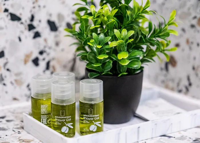 Apartment Excellent 2br Flat In Downtown