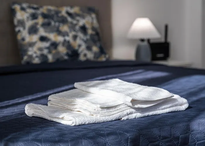 Excellent 2br Flat In Downtown Apartment *