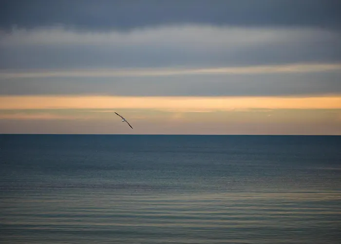 Excellent 2br Flat In Downtown *